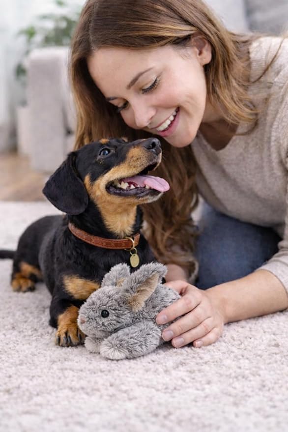 Multipet Small Rabbit Dog Toy w/Squeaker | Thumperz Dog Toy | Stuffed Bunny Toy for Dogs | Plush Squeaker Bunnies Dogs Toy | Small/Medium Breed | Gray | 6"