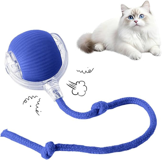 Cat Toy, 360° Automatic Rolling Smart Pet Ball Toys, Motion-Activated, Rechargeable, Four Modes, Three Speed Adjustment, Solve Your Cat's Boredom in Seconds (Blue)