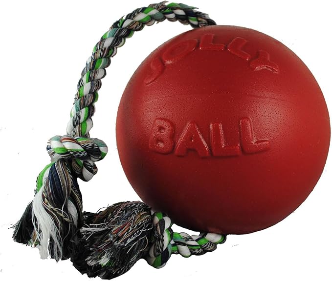 Jolly Pets Romp-n-Roll Rope and Ball Dog Toy, 6 Inches/Medium, Blueberry, Model Number: 606 BB, All Breed Sizes
