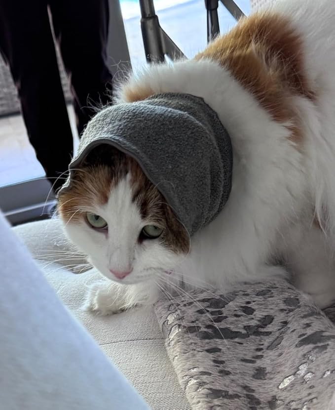 Pet Hoodz for Cats, Anxiety, Grooming, Ear Muffs, Cat Ear Protection, Calming, Ear Compression, Pet Hoodie, Cat Hoodie, Soft-Expandable Fabric for Cats, (Blue, MED)