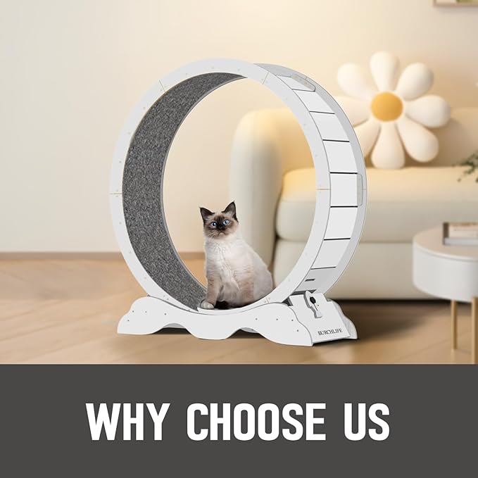 Cat Exercise Wheel 45 Inch Cat Treadmill for Indoor Cats, Running Wheel with Detachable Carpeted Runway, Cats Running Wheel Carpet Suitable for Most Pets Weight Loss and Health (White, L)