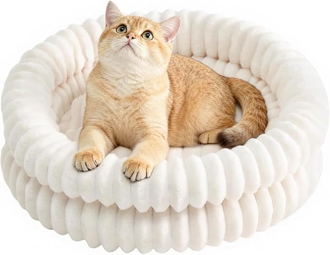 Cat Beds for Indoor Cats, Machine Washable Orthopedic Donut Dog Bed for Small Dogs, Fluffy Round Pet Bed with Anti-Slip Bottom for Puppy and Kitten, White, 20"x20"x6.5"