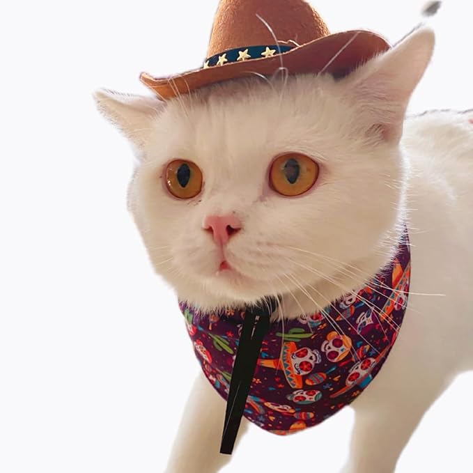 Pet Dog Hat Cat Cowboy Hat Decorative Black Ribbon Plush Band Medium Size Party Headwear for Dogs and Cats Pet Supplies