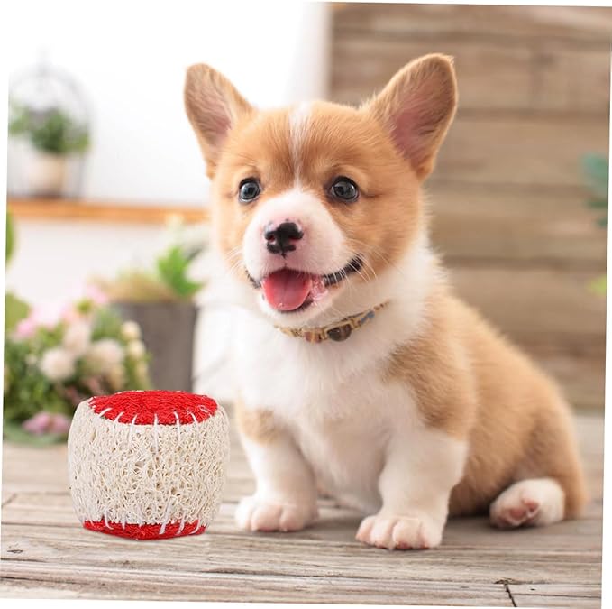 IMIKEYA 2pcs Dog Chew Natural Loofah Tennis Balls Sturdy Puppy Chewing Training Supplies Interactive Pet Balls for Dog Play and Fetch Random Color