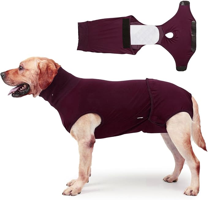 Breathable Polyester Dog Surgeries Bodysuit Ensuring and Comfortable During and Post Recovery Clothing Pet Supply Breathable Dog Recovery Bodysuit