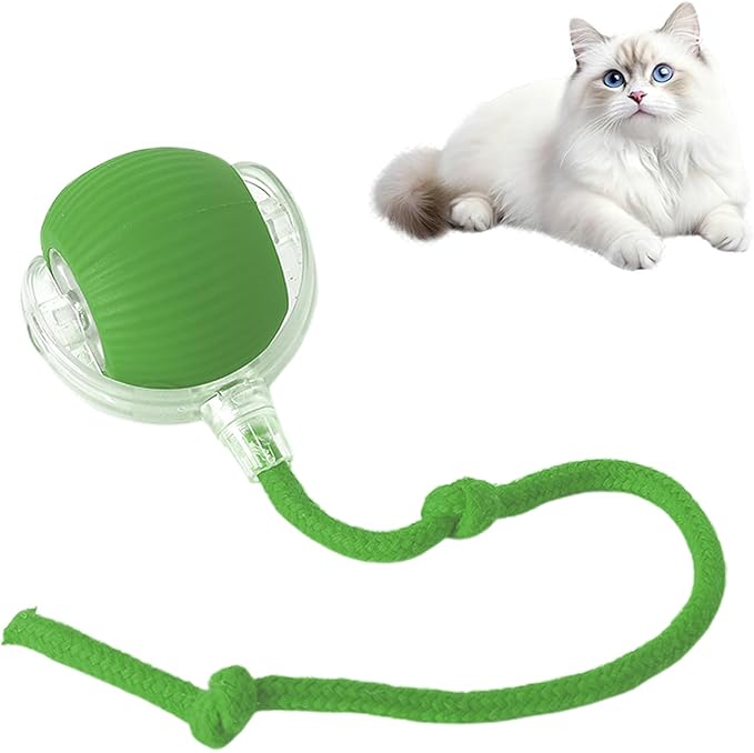 Cat Toy, 360° Automatic Rolling Smart Pet Ball Toys, Motion-Activated, Rechargeable, Four Modes, Three Speed Adjustment, Solve Your Cat's Boredom in Seconds (Green)