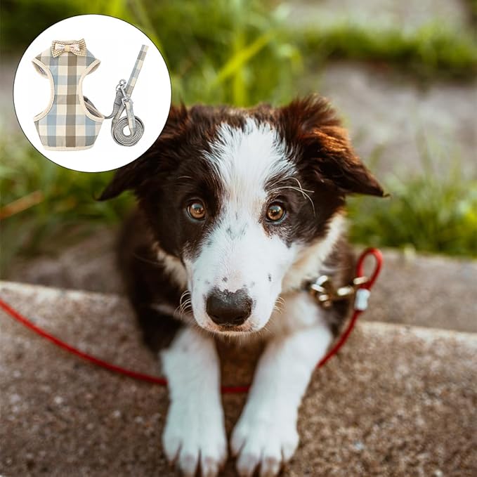 Luxshiny Pet Vest Harness and Leash Soft Mesh Blue White Gray Plaid M Size for Small Dogs and Cats Puppy Walking Adjustable Breathable Pet Supply