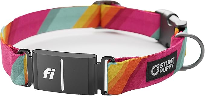 Stunt Puppy Dog Collar, Fi Series 3 and 3+ Ready, All are Welcome Here, Medium - Compatible with Fi GPS Device (Not Included)