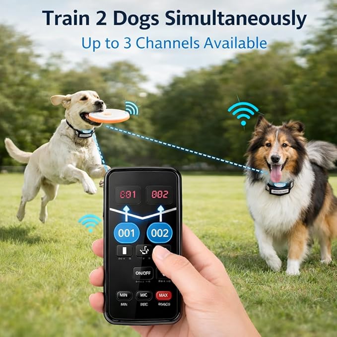 Wireless Dog Fence System for 2 Dogs, Electric Dog Fence with LCD Screen, Adjustable Warning Strength, Range 50-999ft, Rechargeable Wireless Pet Fence, Dog Perimeter Collar