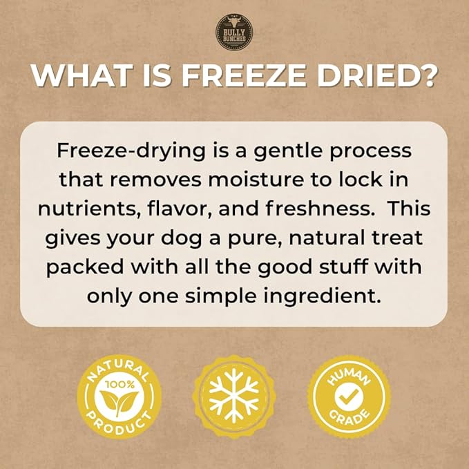 Bully Bunches Freeze Dried Salmon Dog Treats – Made in USA, Human Grade, All Natural Training Treats for Dogs, High Protein Salmon Bites, Healthy Dog Snacks, Grain Free, 3.53 oz