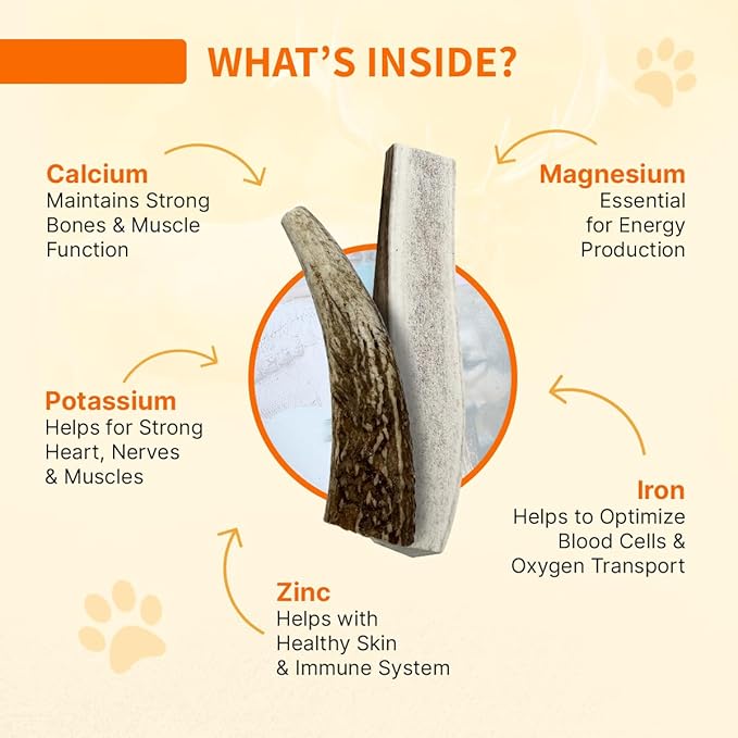 Tibetan Elk Antler for Large Dogs, Grade-A, Premium Chews, Naturally shed Healthy & Longer Lasting Aggressive chewers, USA Product Split Antler (Whole)
