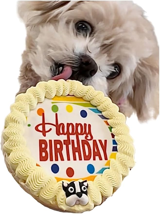 Crispy Yellow Pop Corn Dog Birthday Cake- Edible Puppy Party Crispy Pop Corn Cake- Handmade with Love- Perfect Dog Party Cake Boxed, Iced and Decorated