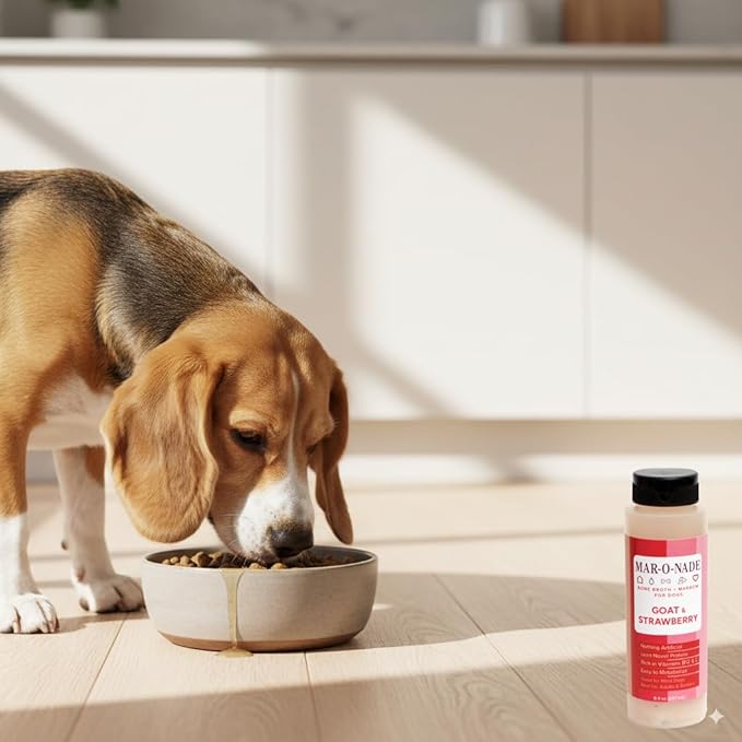 Bone Broth + Marrow Topper for Dogs - Goat & Strawberry, 8 fl oz - Grain-Free, AAFCO-Compliant, Small-Batch Nutritional Topper