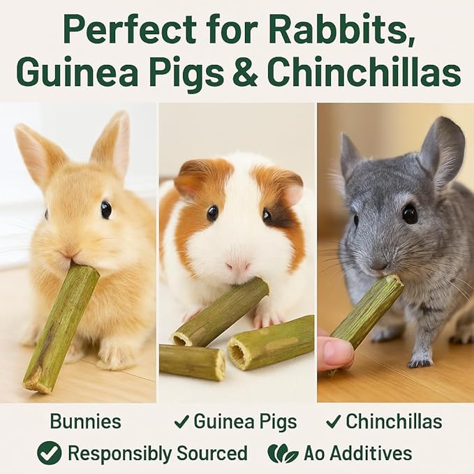 Rabbit Chew Toys – 100% Natural Papaya Branch Sticks for Guinea Pigs, Chinchillas, Small Animals | Safe, Green, High-Fiber Teeth Grinding Treats ((3pc) L:4.3 D:0.79-1.1in)