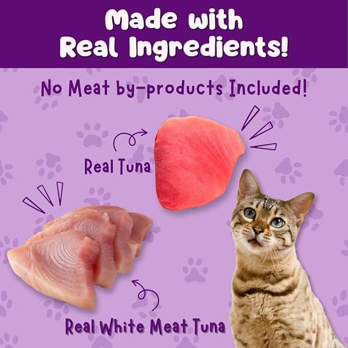 Queen's Cat & NUTRI PLAN Wet Cat Food Gourmet Tuna & White Tuna Meat Recipe 5.64 oz Cans, High Protein Taurine Rich, No Added Preservatives or Seasonings, Complete Balanced Nutrition, Pack of 24