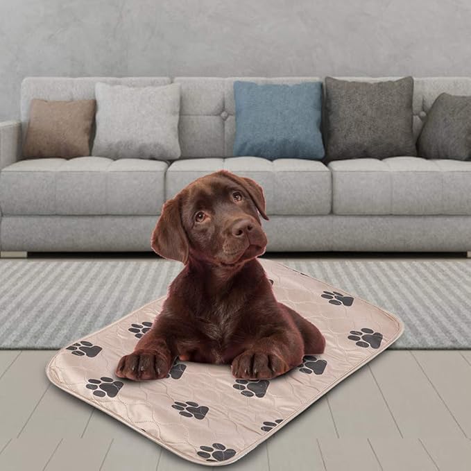 Reusable Dog Pee Pad, Absorbent Pet Urine Mat for Dogs and Cats, 4 - Layer Machine Washable Mat with Barrier for Hard Floors, Print Design in (40 * 60cm)