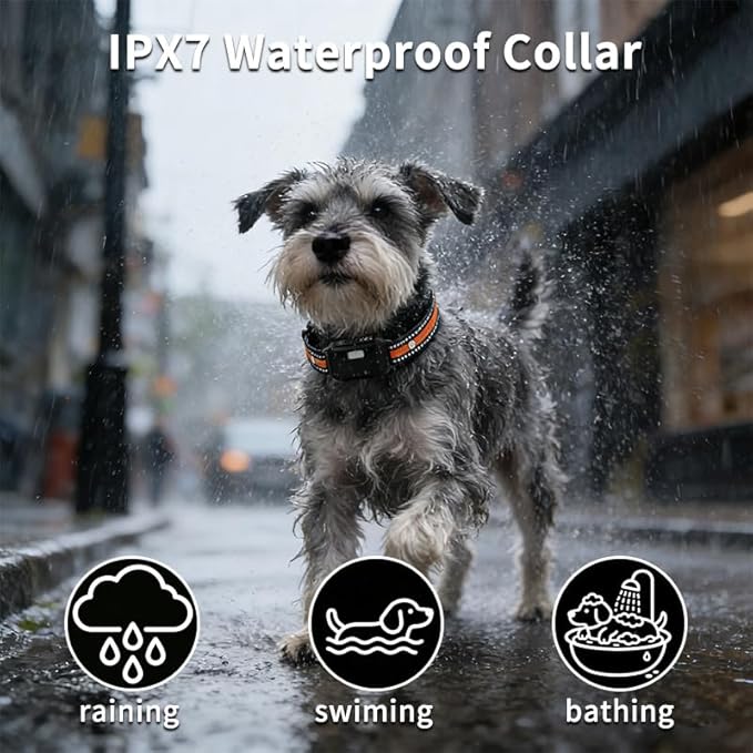 Dog Shock Collar for 2 Dogs (10-120Lbs),Shock Collar for Dogs 2 Pack Dog Training Collar with Remote 3300FT IPX7 Rechargeable E Collars for Large Medium Small Dogs with Flashlight, 4 Training Modes