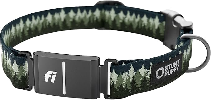 Stunt Puppy Dog Collar, Fi Series 3 and 3+ Ready, Pine Green, Medium - Compatible with Fi GPS Device (Not Included)