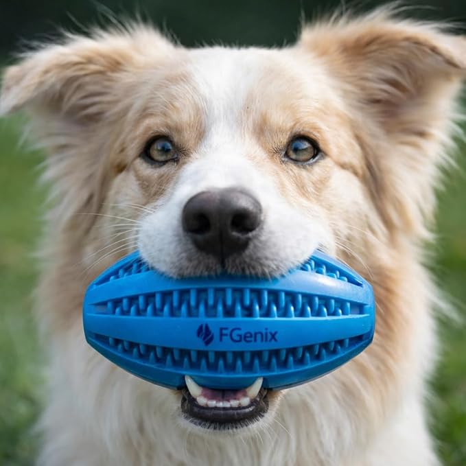Heavy Duty Dog Ball Toy for Strong Chewers, Natural Rubber Fetch & Chew Balls, Pack of 2 for Large & Medium Dogs