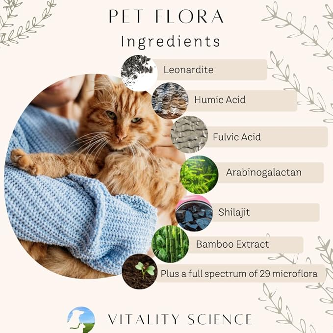 Vitality Science - Gastro Prime Combo for Cats | Supports Normal GI Function and Improves Nutrient Assimilation