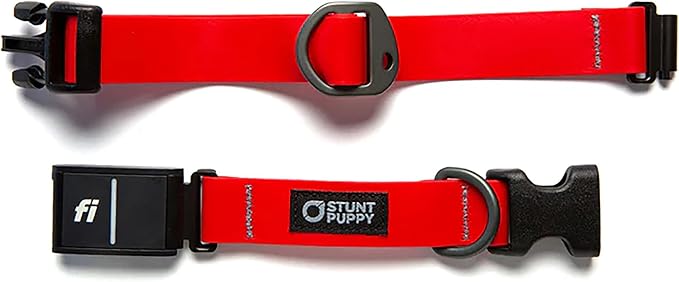 Stunt Puppy Dog Collar, Fi Series 3 and 3+ Ready, Small, Red - Compatible with Fi GPS Device (Not Included)