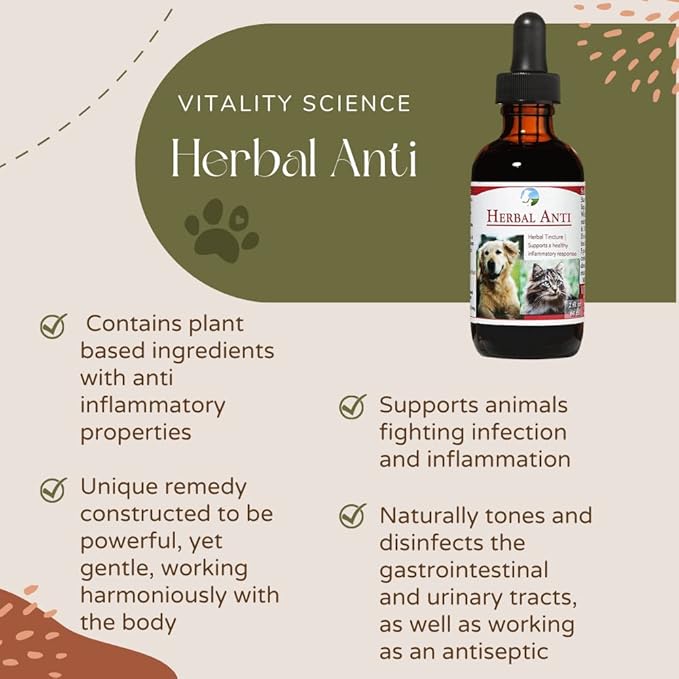 Vitality Science Herbal Anti for Cats and Dogs | Plant Based | GI Tract + Colon Health Supplement (0.5 oz)