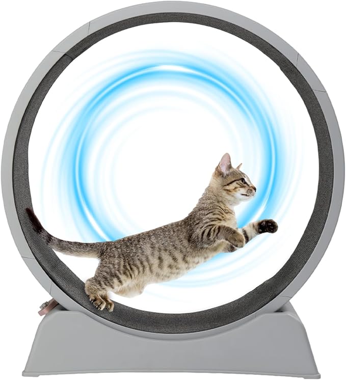 VINGLI Cat Exercise Wheel, 31" Cat Treadmill for Indoor Cats, Cat Running Wheel with Carpeted Runway for Weight Loss & Daily Exercise (Grey)