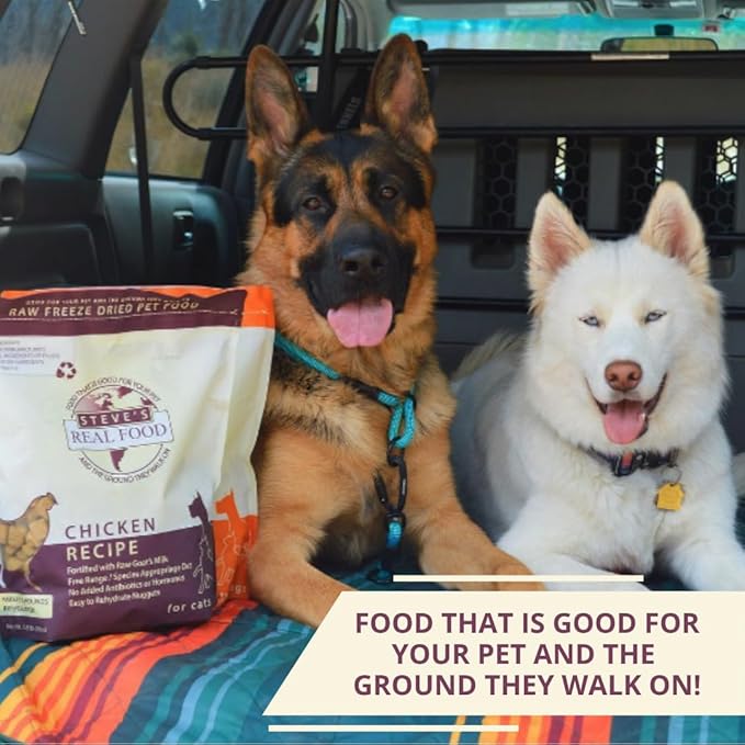 Steve's Real Food Freeze-Dried Raw Nuggets 2-Pack - Chicken Recipe - Raw Pet Food for Dogs and Cats - 20 oz in Each Bag