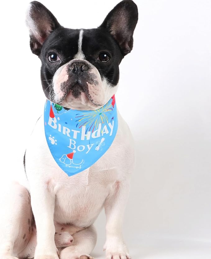 Toyvian Dog Birthday Hat and Bandana Set, 3pcs Blue Party Supplies, Lightweight Pet Birthday Accessories for Puppies and Small Dogs