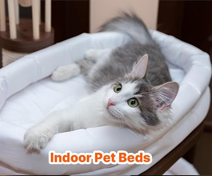 InLife Super Warmer for Dogs & Cats | All Natural & Safe, Instant Quick Heat, Easy & Comfortable Warmth, Bigger & Wider Size | Air Activated, Steady Long-Lasting | Odorless, 1 Pack
