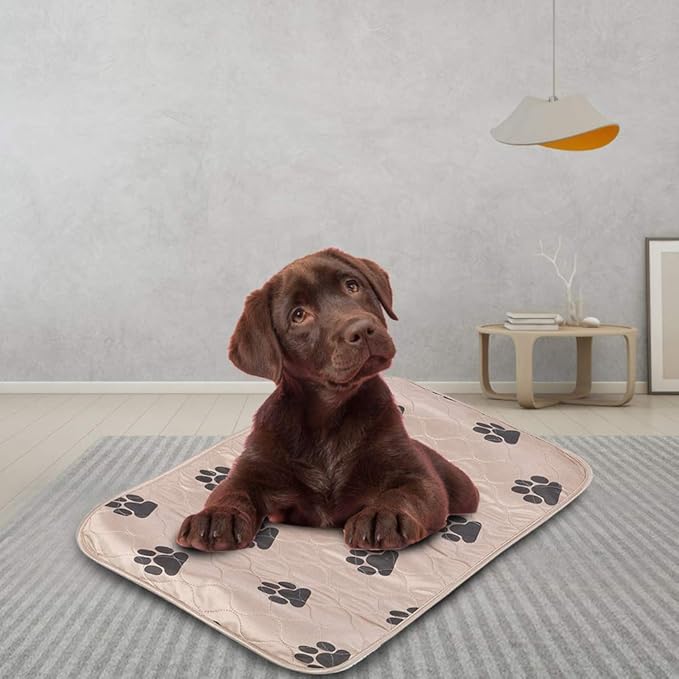 Reusable Dog Pee Pad, Absorbent Pet Urine Mat for Dogs and Cats, 4 - Layer Machine Washable Mat with Barrier for Hard Floors, Print Design in (40 * 60cm)