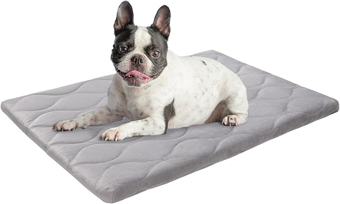 BEAUTYZOO Dog Crate Pad for Medium Dogs, Washable & Detachable Kennel Mat, Anti-Slip Soft Fluffy Puppy Bed for Crate, Cage, and Car Travel, Cozy Sleeping Mattress, 30x20 Inches, Gray