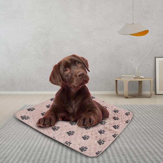 Reusable Dog Pee Pad, Absorbent Pet Urine Mat for Dogs and Cats, 4 - Layer Machine Washable Mat with Barrier for Hard Floors, Print Design in (80 * 90cm)