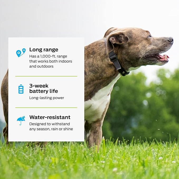 Premier Pet Dog Shock Collar - Safe Behavior Training - 1000ft Long Range Training Shock Collar with Remote - Waterproof Rechargeable Design - 3 Modes - 16 Levels of Static Stimulation