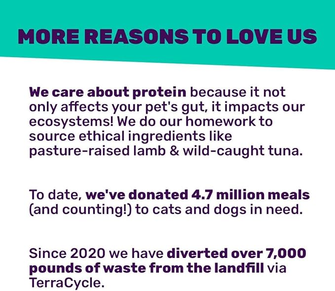 I AND LOVE AND YOU Wet Dog Food - Lambarama Stew - Lamb Recipe, Grain Free, Filler Free 13 Ounce (Pack of 1)