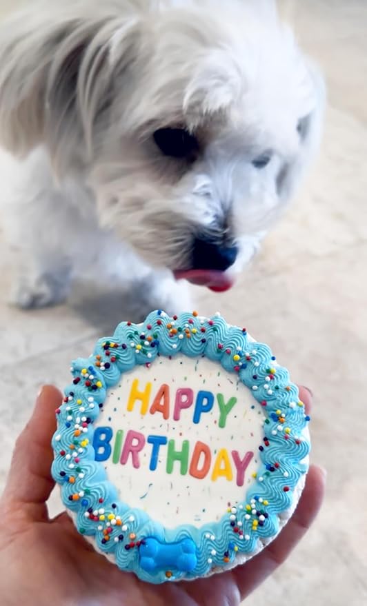 Lot of 6 Dezicakes Crispy Vanilla Blue Dog Birthday Cakes- Edible Puppy Party Crispy Vanilla Rice Cake- Handmade with Love- Perfect Dog Party Cake Boxed, Iced and Decorated