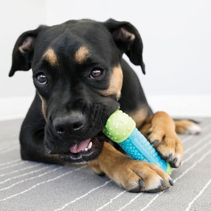 KONG CoreStrength Bone - Dog Dental Chew Toy - Durable, Multi-Layered Dog Toy for Enrichment Play & Dental Care - with Textured Body for Teeth Cleaning - for Small/Medium Dogs