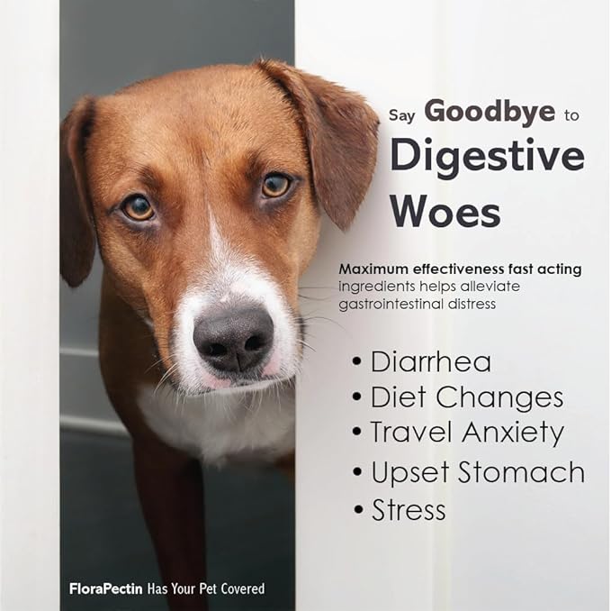 Oral Paste for Dogs & Cats-Helps Reduce Occasional Loose Stool & Diarrhea, Balance Gut pH, Support Normal Digestion & Intestinal Flora-Fast Acting (15 CC - Tasty Chicken Flavor) - 2 Pack