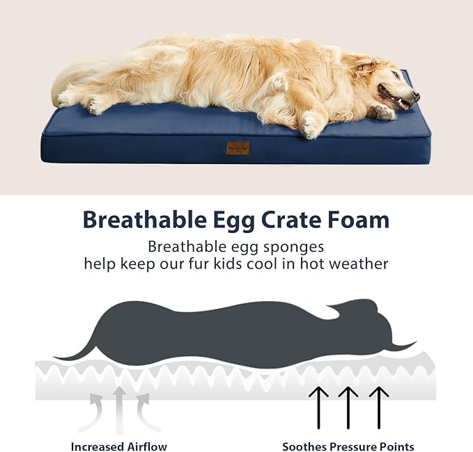 BFPETHOME Outdoor Dog Bed for Large Dogs, Waterproof, Orthopedic with Removable Washable Cover, Egg Crate Foam Mat. (36 x 27 in, Navy)