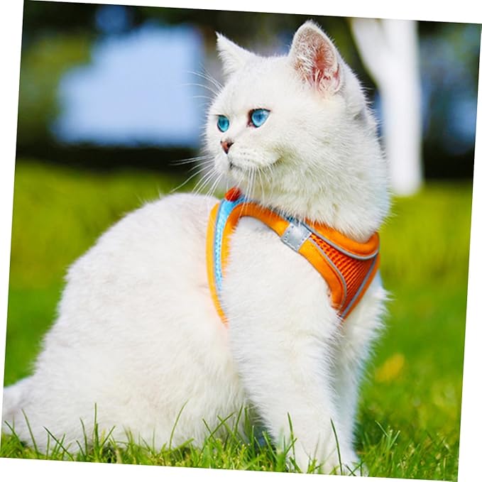 BESPORTBLE Pet Harness and Leash Set with Reflective Strips, Breathable Mesh Dog and Cat Vest Harness Xs, Dual-Color Orange, Lightweight Pet Supply for Puppy and Kitten Walking