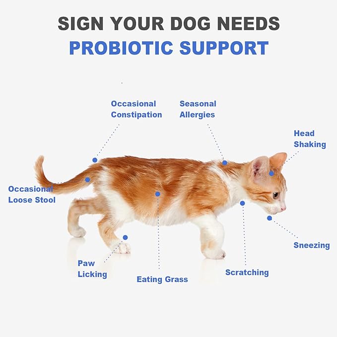 Probiotic Chews for Cats – 500 Million CFU Probiotics with Enzymes, Pumpkin, Papaya & Cranberry – Digestive & Immune Support Soft Chews – Chicken Flavor – 100 Count