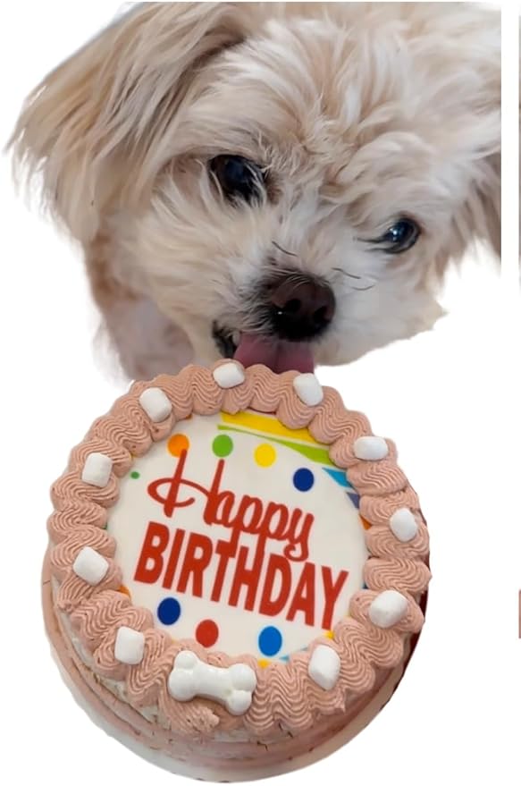 Crispy Rocky Road w/Marshmellows Dog Birthday Cake- Edible Puppy Party Crispy Vanilla Rice Cake, Yogurt Icing w/Marshmellows-Perfect Dog Party Cake Boxed, Iced and Decorated