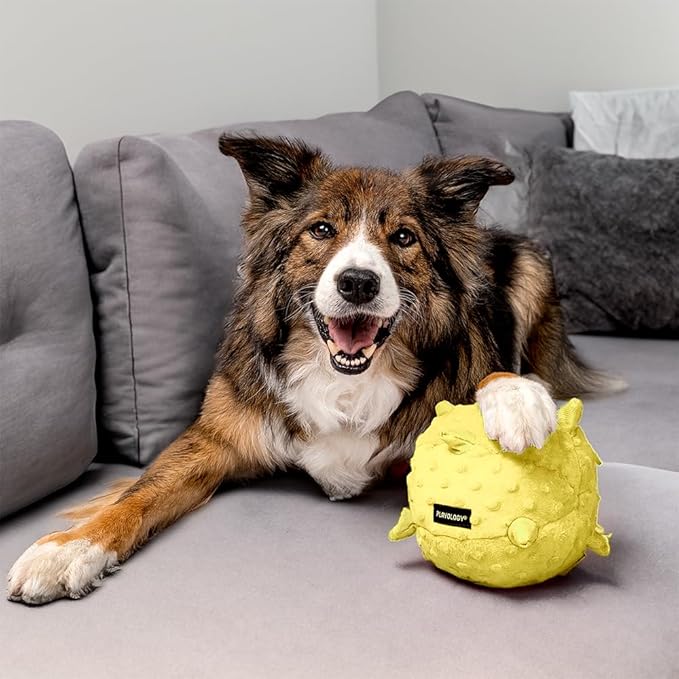 Playology Dog Toys | Puppy Toy Plush Sensory Ball for Dogs and Puppies | Jumbo Chicken Scented Toy - Easy to Clean and Made from Non Toxic Materials