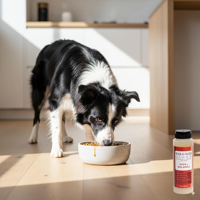Bone Broth + Marrow Topper for Dogs - Duck & Red Apple, 8 fl oz - Grain-Free, AAFCO-Compliant, Small-Batch Nutritional Topper