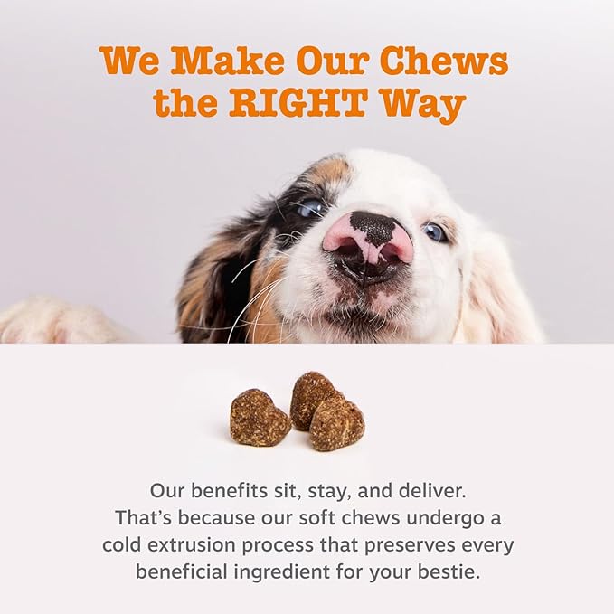 Zesty Paws Probiotics for Dogs, Digestive Enzymes Gut Flora, Digestive Health, Diarrhea & Bowel Support, DE111, Dog Probiotics Soft Chew for Pet Immune System, Chicken, 50 Ct