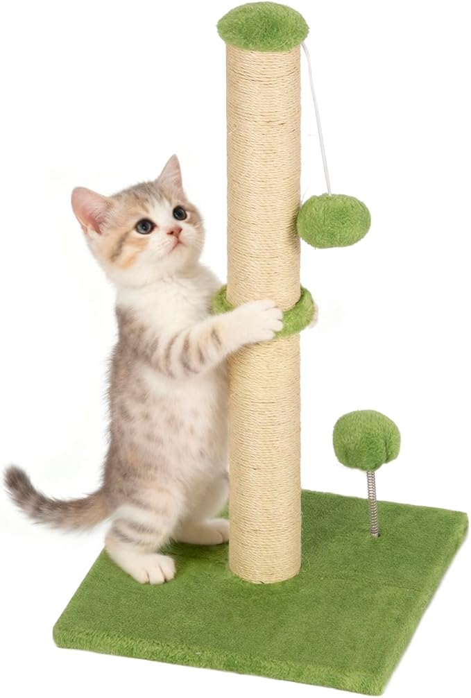 FDW 22 Inch Cat Scratching Post Cat Scratcher Natural Sisal Rope Scratch Post Kitten Trees with Hanging Ball for Indoor Cats,Green