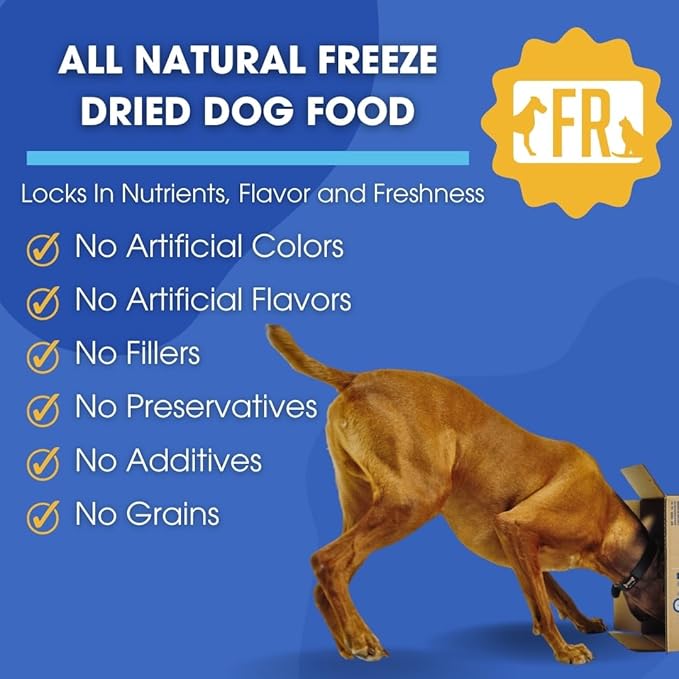 Freeze-Dried Raw Dog Food – High Protein, Grain-Free, No Fillers or Additives, Complete Meal or Mixer, for Healthy Digestion, Joints, and Coat (14 Ounce (Pack of 1), Kangaroo and Lamb)