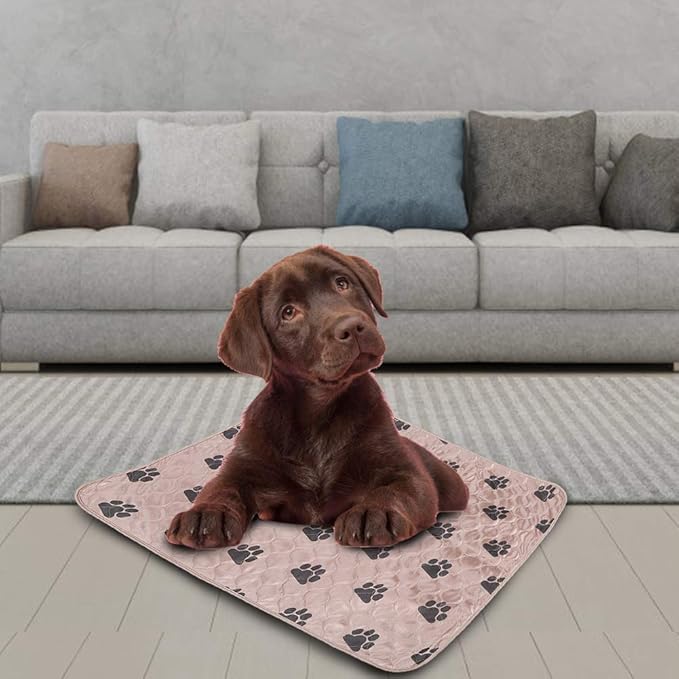 Reusable Dog Pee Pad, Absorbent Pet Urine Mat for Dogs and Cats, 4 - Layer Machine Washable Mat with Barrier for Hard Floors, Print Design in (70 * 80cm)
