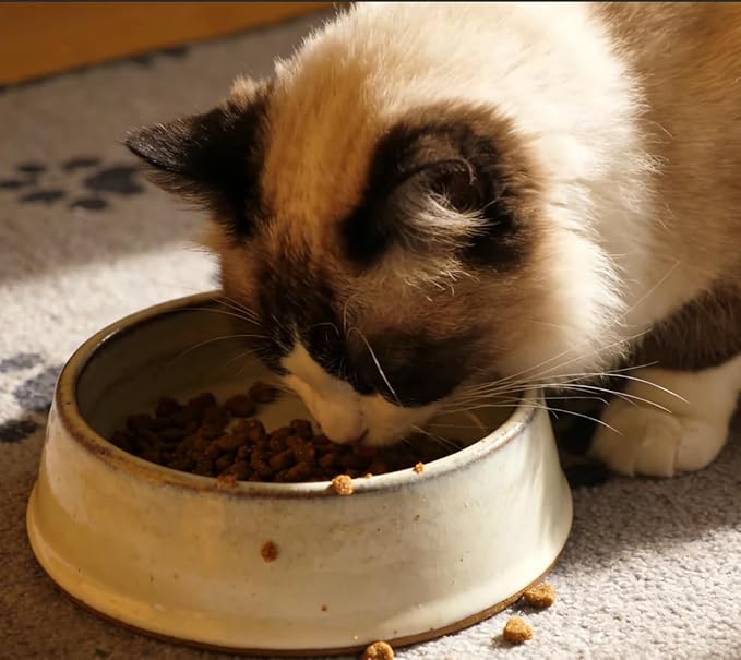 Cat Vitamins Supplements