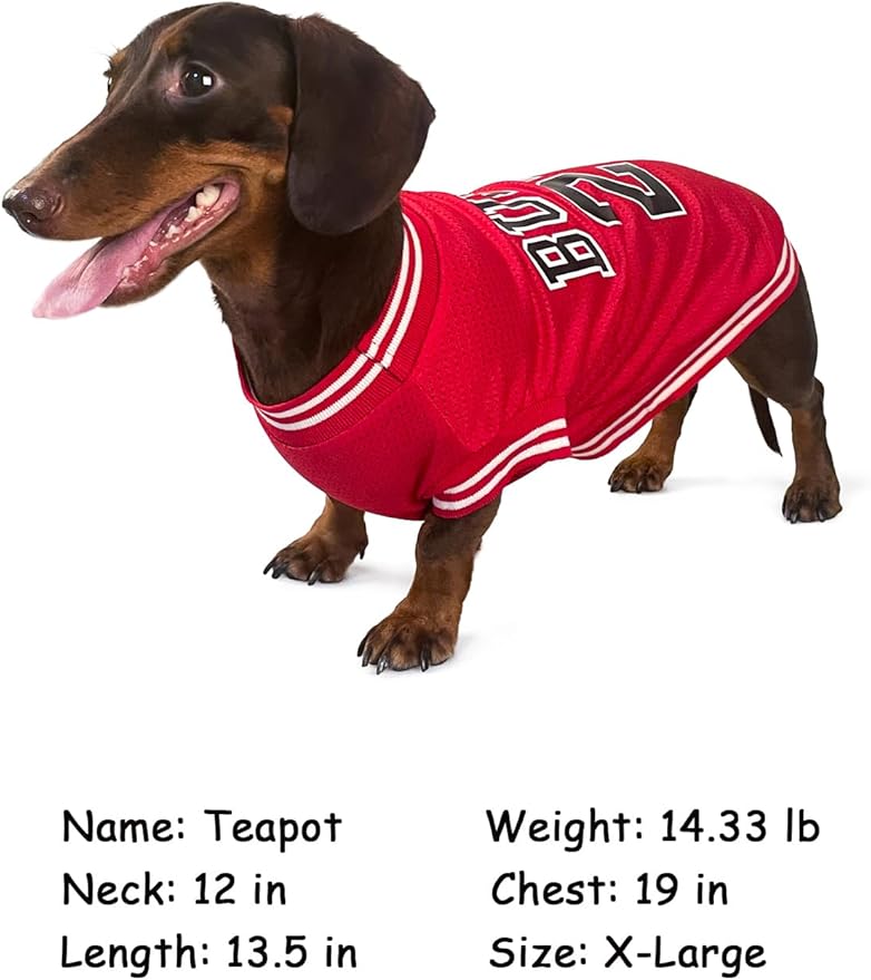 Dog Clothes Basketball Mesh Breathable T-Shirt,Pet Clothes Puppy Sportswear Spring/Summer Fashion Dog Shirt. (Orange, Medium)